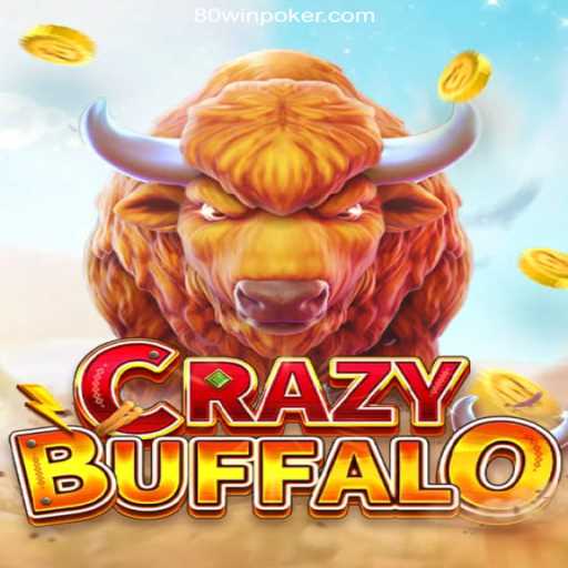 Discover CRAZYBUFFALO: A Thrilling Experience with 80win - The Top Betting Platform in Brazil