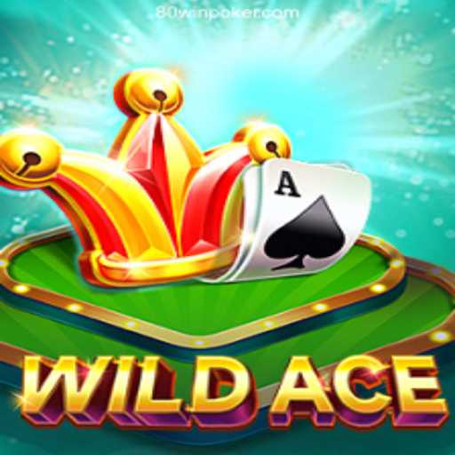 Exploring WildAce: The Thrilling World of Brazil's 80win Gaming Platform